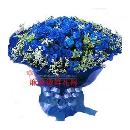 99枝蓝玫瑰,满天星99枝蓝玫瑰,满天星多少钱99枝蓝玫瑰,满天星寓意麻辣烫鲜花网