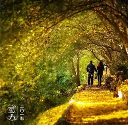 风雨虽寒至少还有一抹暖色让你驻足