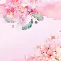 再等1天,全世界的花都来深圳了