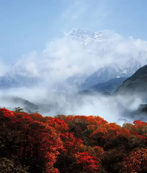 没看过峨眉山之秋,不知普贤菩萨竟创造出如此摄人心魄的美景