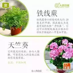 不是所有绿植都适合养在卧室