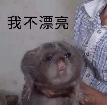 自然本多彩娘炮也常见