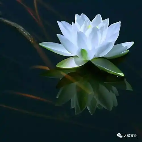 谦虚是一种品格,更是一种涵养