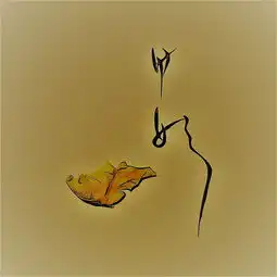 你的名字,一叶一花的姓氏47