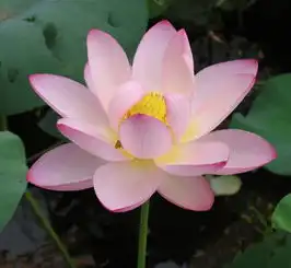 测试一个超长简介的文章