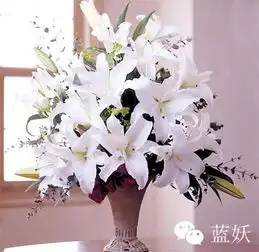 学会5个技巧,马上让百合花球开到爆