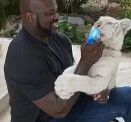 球员场外事nba球员都养一些什么奇葩宠物