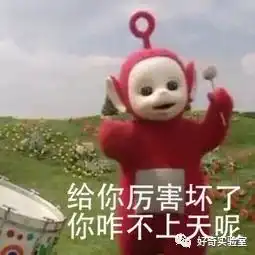 2019集五福来啦教你10分钟内集齐五福赶紧看