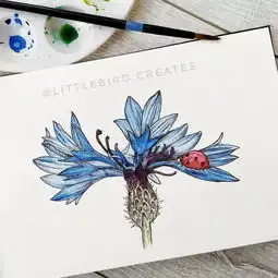 让你画到惊叫的手绘线描每天一幅画画功绝对飙升