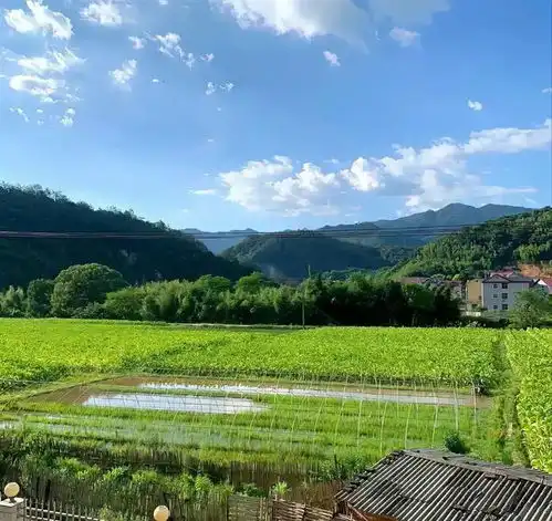与自然的亲密接触,让人无法拒绝,让人沉浸其中小溪溪水山谷水声大自然网易订阅