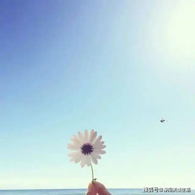 正能量励志的句子,送给为了美好生活加油努力的自己