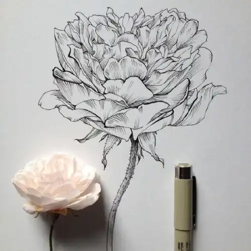 简短优美富有哲理的句子,意味深长,值得细细品读