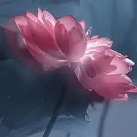 菁伊游戏论坛的个人频道