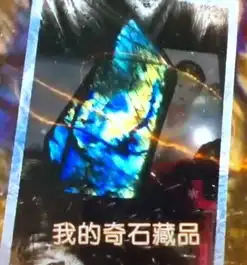 参乡东北特产快手直播