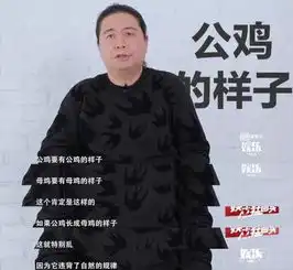 知名编剧汪海林公然炮轰鹿晗暗讽其娘炮审美病态鹿晗实力打脸