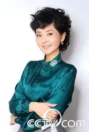 八大知名主播出道前经历董卿原是宾馆清洁工