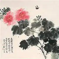 微信芙蓉头像高清芙蓉花朵图片大全
