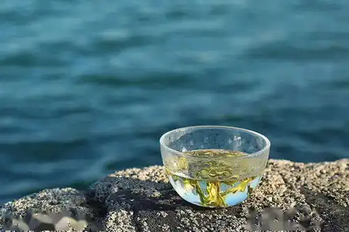测试一个超长简介的文章