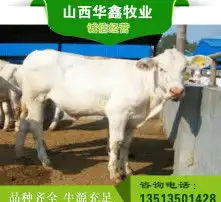 黄页88高清图片