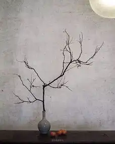 禅意花开,静忘尘世
