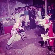 首页
