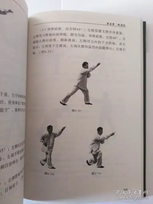 古传秘技峨眉拳