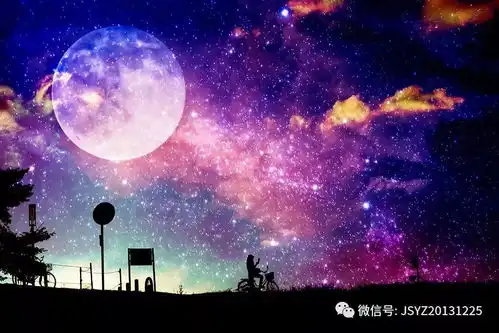 读月