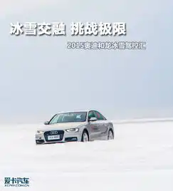 图文冰雪交融挑战极限奥迪和龙冰雪驾控汇