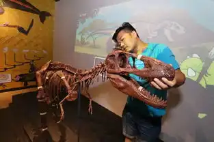 正佳海洋馆自然科学博物馆雨林生态植物园成人票299元三馆联票7天畅玩1小时后可用遇海洋