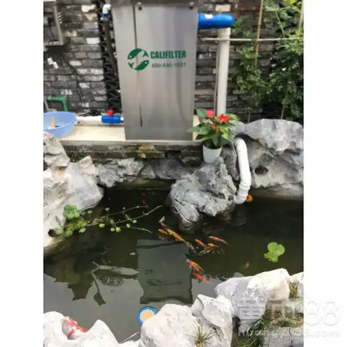 衡水家用鱼池过滤系统卡利净鱼池过滤器-黄页88网