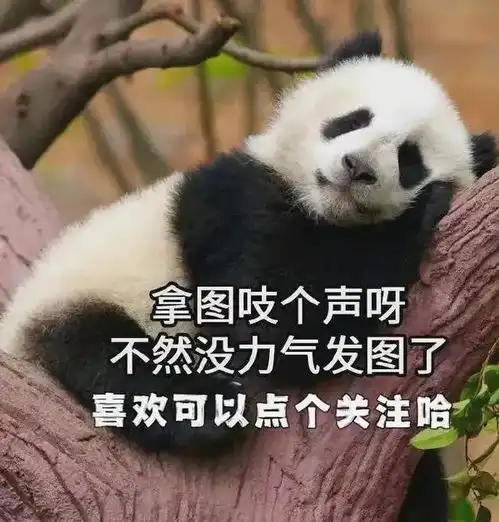 建议收藏喜庆祝福壁纸陪你一起迎新年万事如意,心想事成