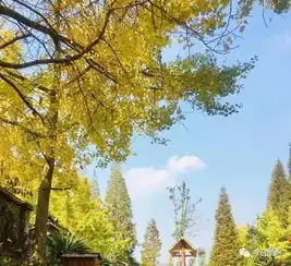 观胜绿色与发展齐飞田园和水木共美