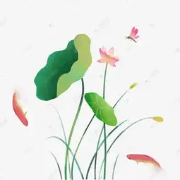唯美小清新荷花荷叶蜻蜓png素材图片免费下载高清psd千库网图片编号11881830