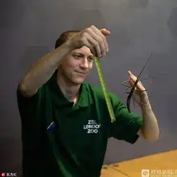 伦敦动物园19000多只动物年度体检