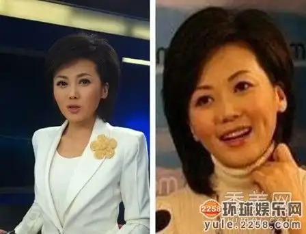 十大美女主播成长历程柳岩谢娜如何成为当家花旦