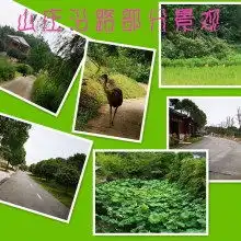 智博汇农家乐