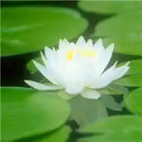 测试一个超长简介的文章