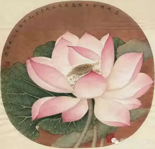 珠海赠汝芬芳满怀