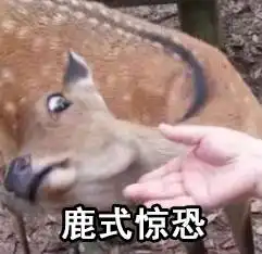 峨眉山的猴子奈良的鹿寺庙的锦鲤广场的鸽子猫咖的猫动物界五大扛把子,你一个都惹不起