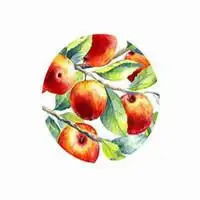 用蔬菜水果做头像微信头像图片大全