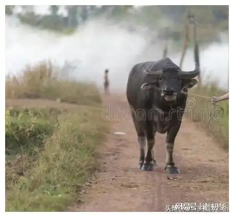 去相亲对象家中干活,相亲对象给了我丰厚的报酬,这亲事能成吗