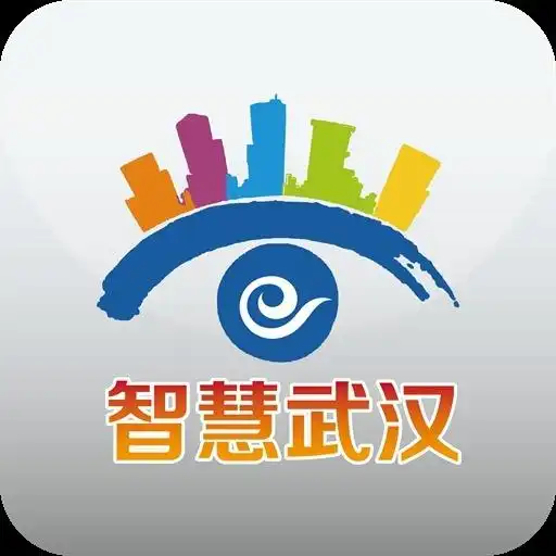 智慧武汉