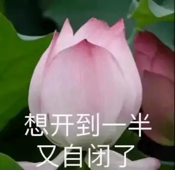 暑期定的plan,因为lan,只完成了个p