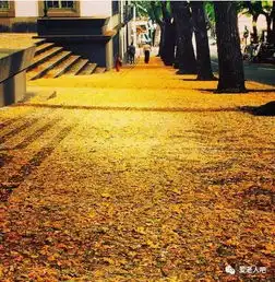 世界上最美的街道,保证你没见过