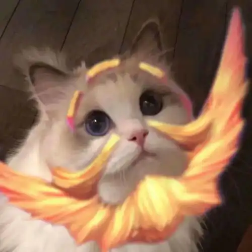 王者荣耀猫咪头像,有你的本命英雄吗
