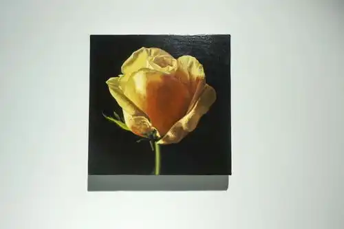 清华才子一针见血会罩染也不一定能画好古典油画,这3点一定要懂