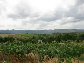 重拾心灵的记忆我在云南那段美妙的时光二