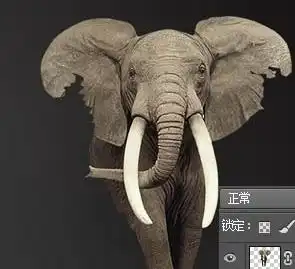 photoshop怎么做砂质化的大象
