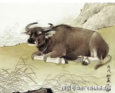 生肖牛一生的运势如何进来看看吧
