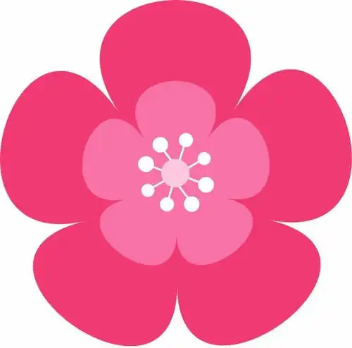 开心快乐每一天
